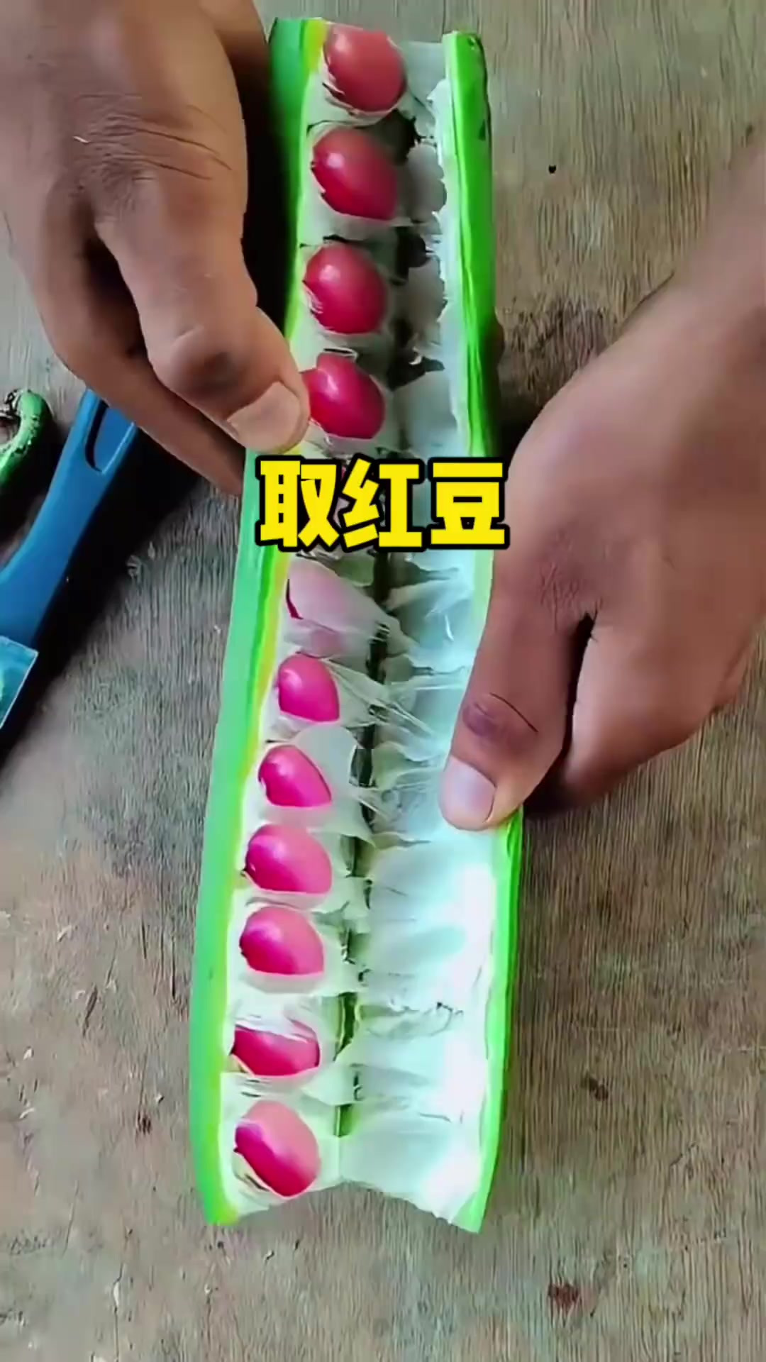 这样的大扁豆你们吃过吗