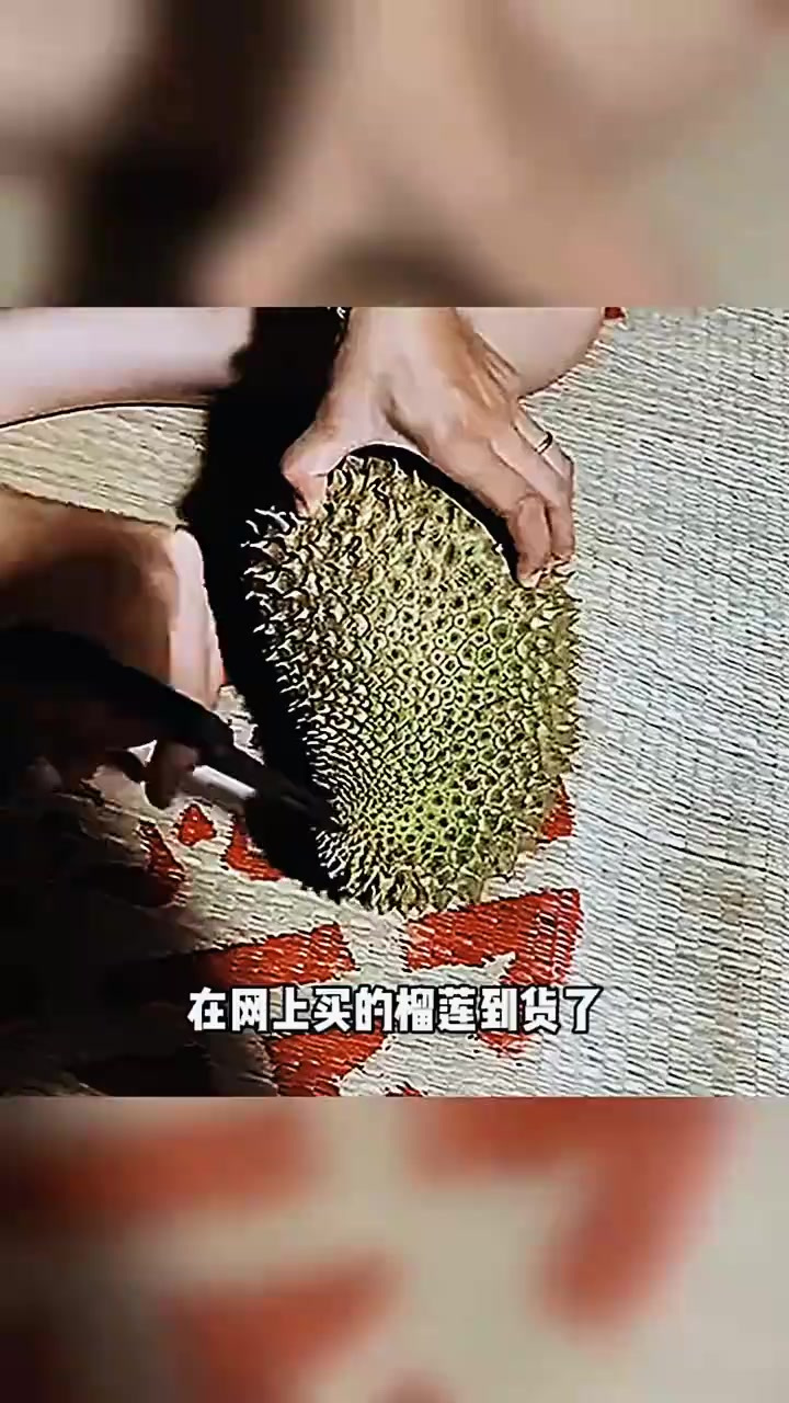 这榴莲真实在,没有一点公摊面积