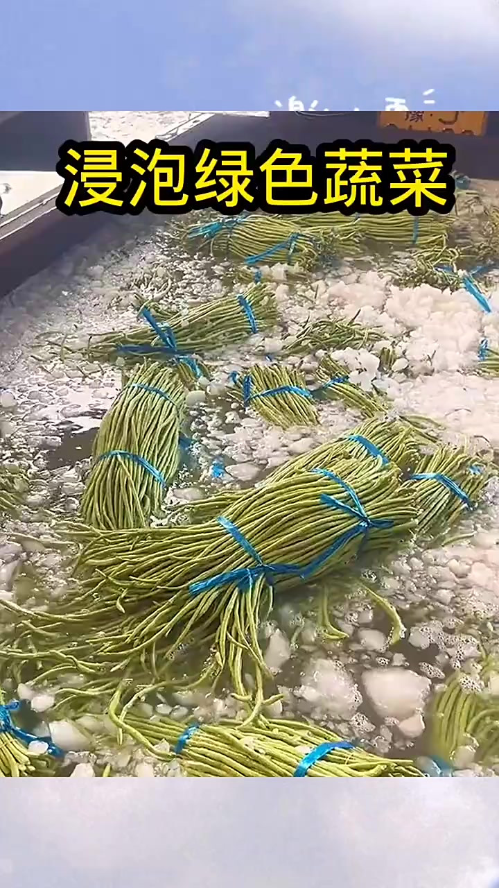 浸泡绿色蔬菜，保证足够新鲜！