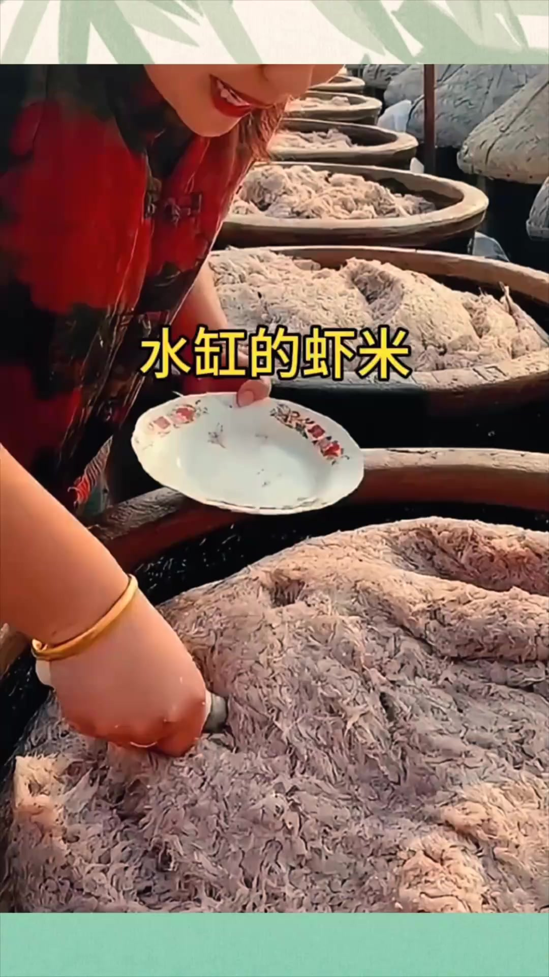 大缸里储存的小虾米