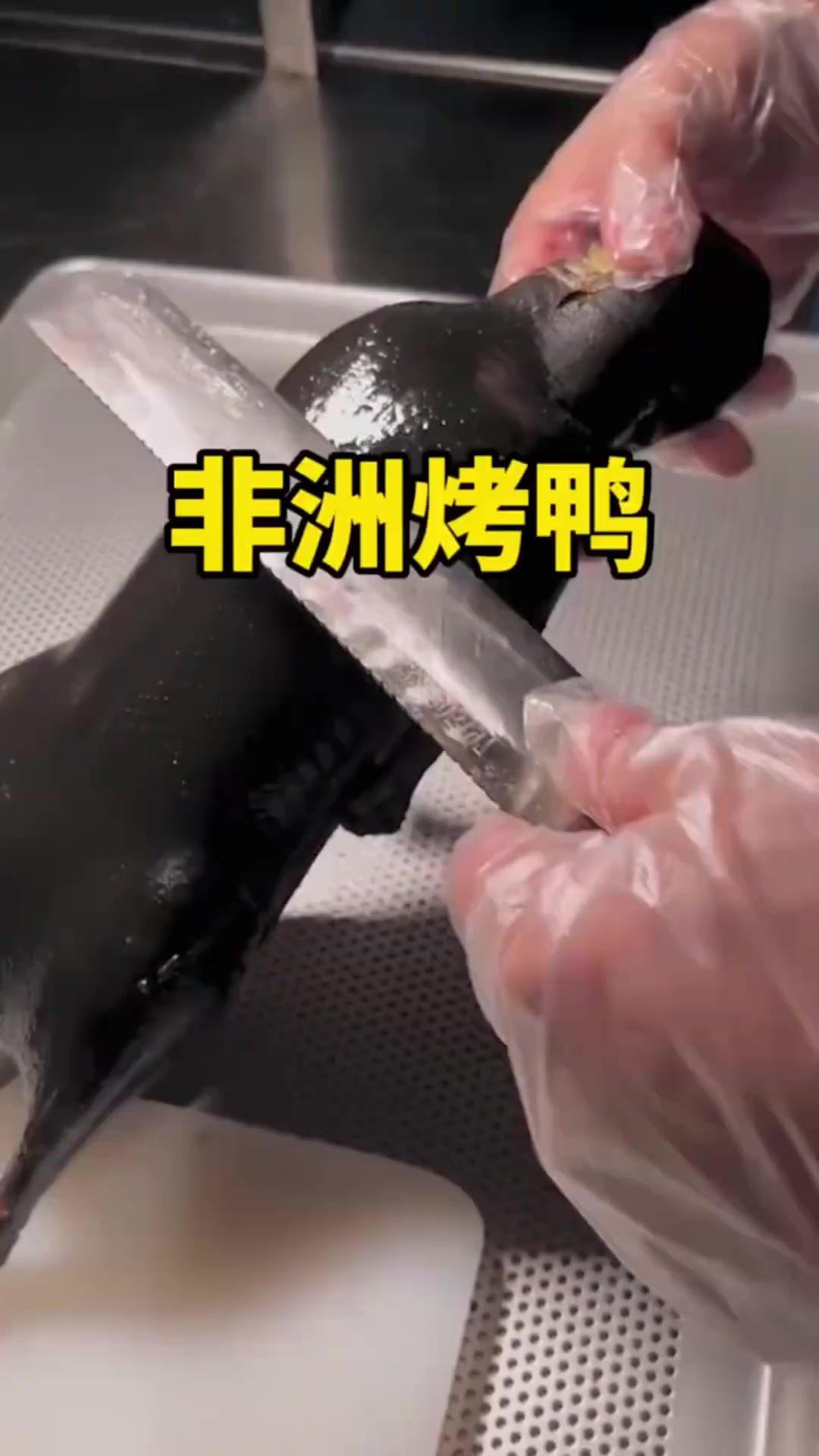北京烤鸭之非洲分鸭