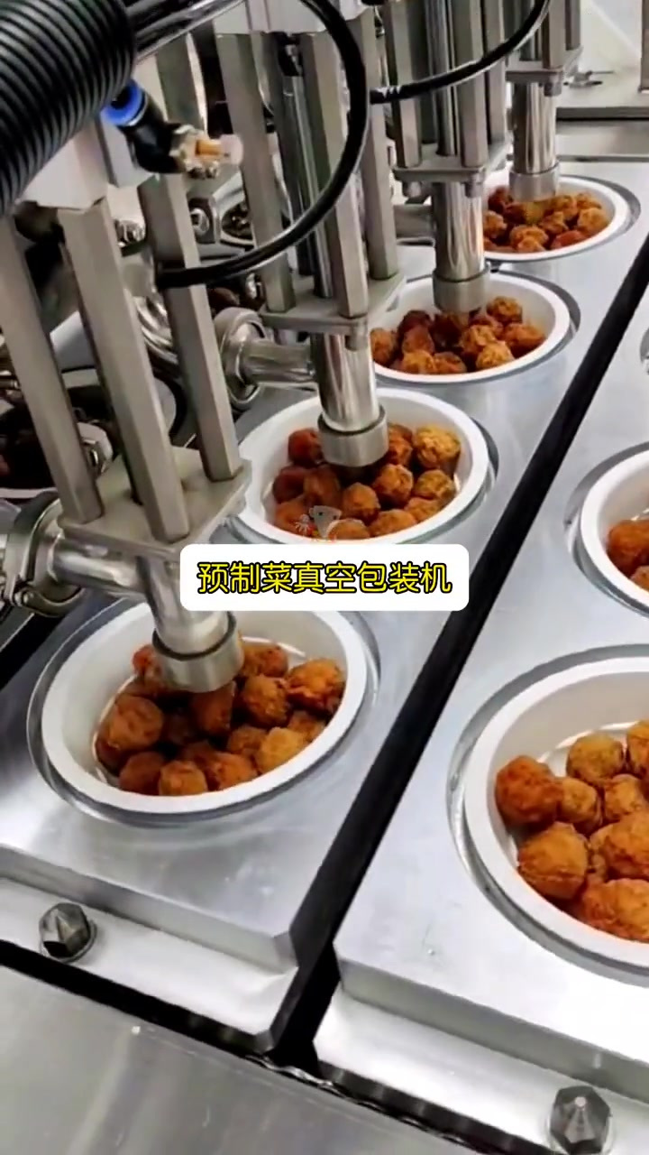 预制菜真空包装 真空包装