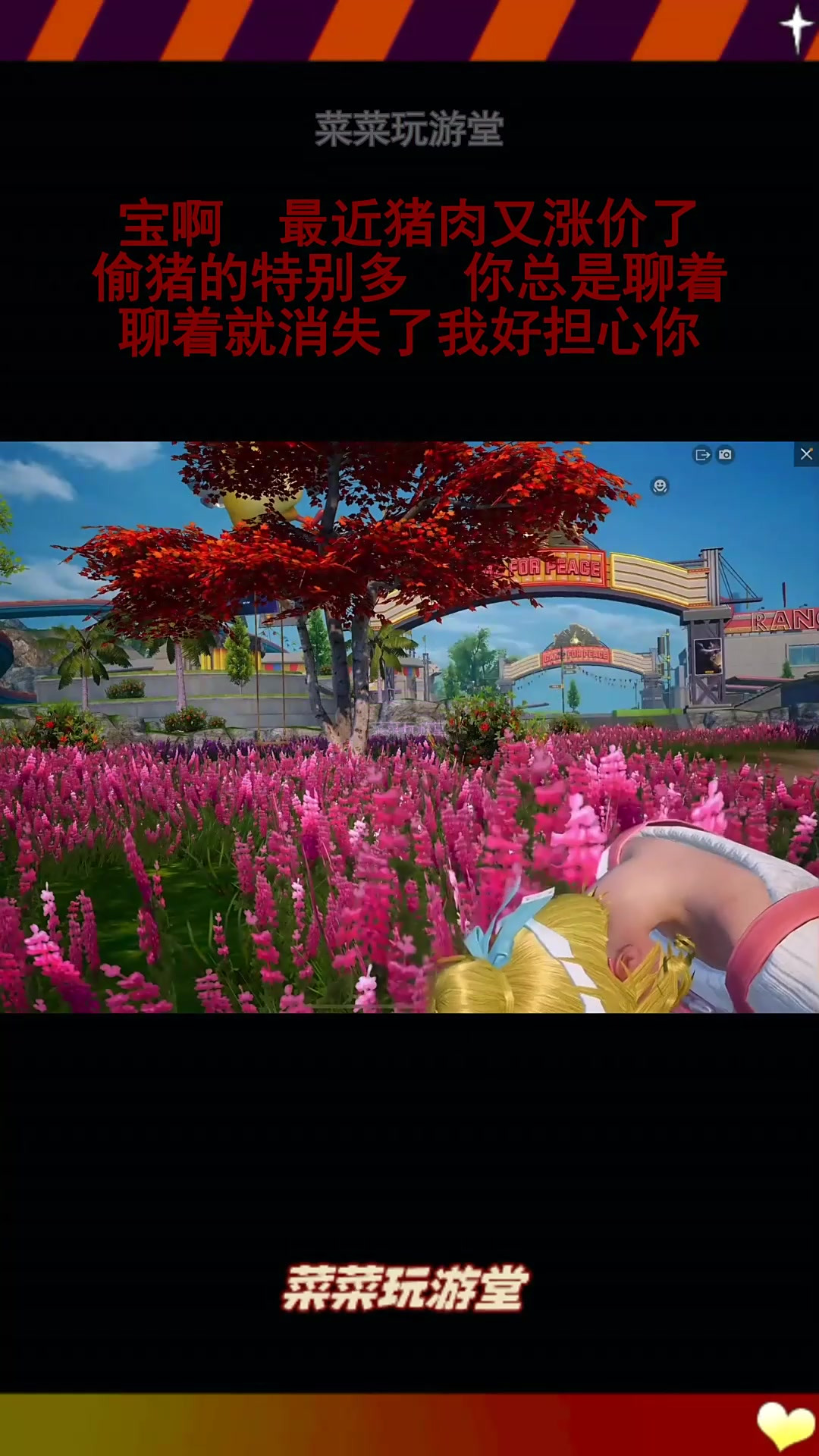 宝啊 最近猪肉又涨价了 偷猪的特别多
