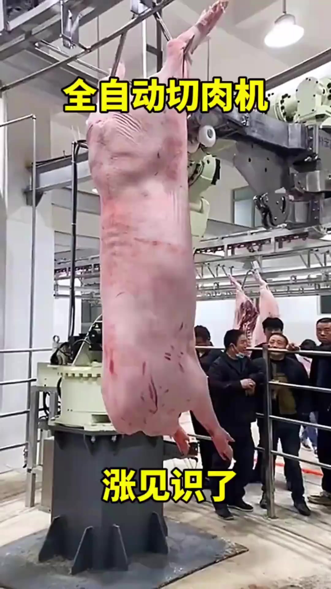 全自动切肉机,涨见识了