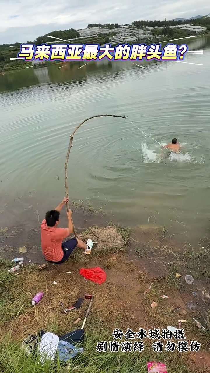 钓，马来西亚最大的胖头鱼