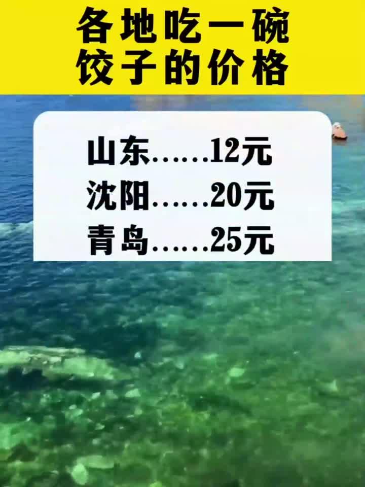 各地吃一碗饺子的价格