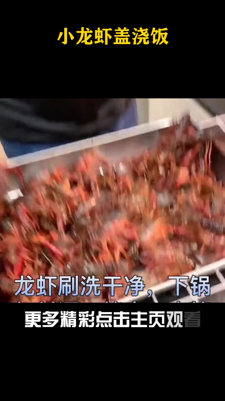 小龙虾盖浇饭