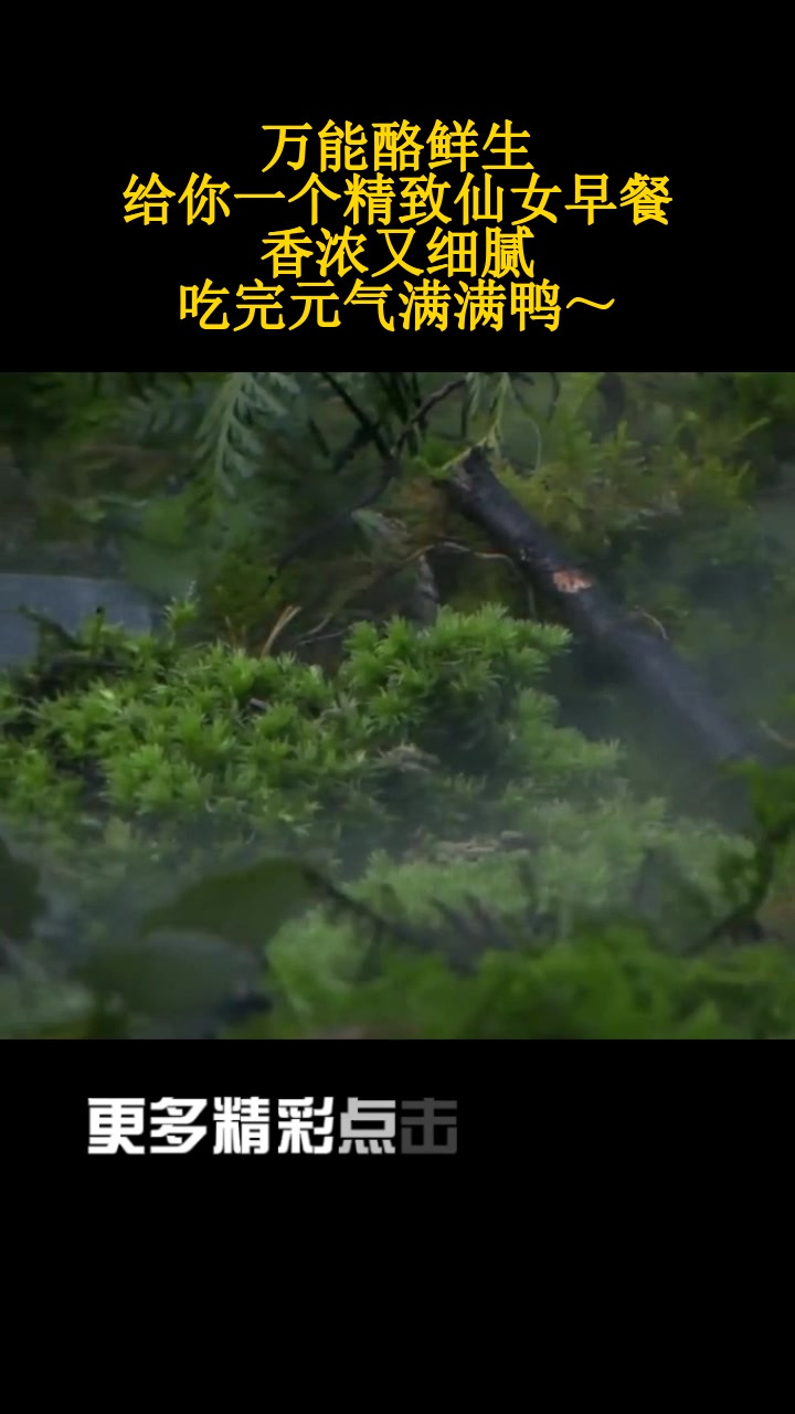 万能酪鲜生,给你一个精致仙女早餐,香浓又细腻,吃完元气满满鸭～