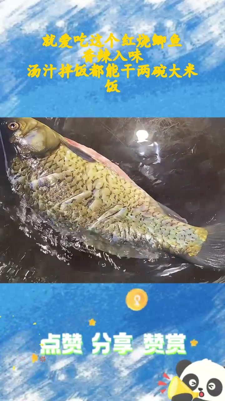 就爱吃这个红烧鲫鱼,香辣入味,汤汁拌饭都能干两碗大米饭