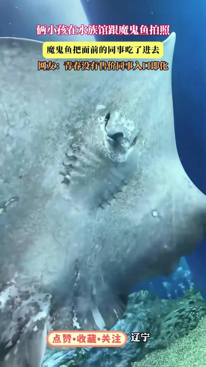 俩小孩在水族馆跟魔鬼鱼拍照，魔鬼鱼把面前的同事吃了进去，网友：青春没有售价同事入