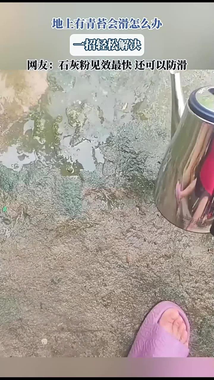 地上有青苔会滑怎么办,一招轻松解决,网友:石灰粉见效最快,还