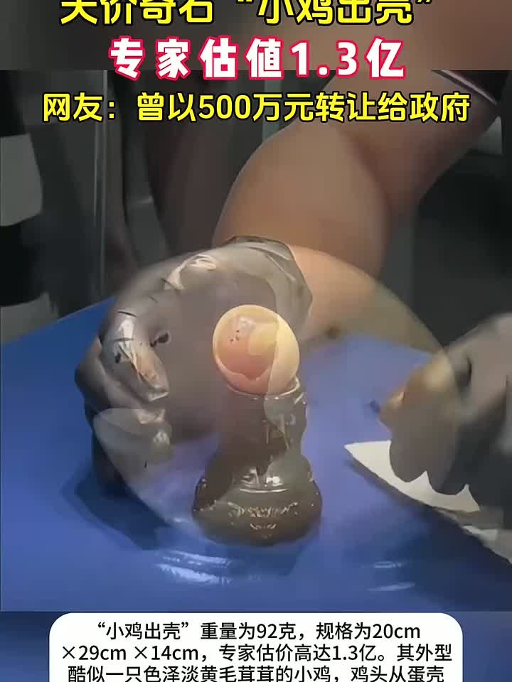 天价奇石!专家估值3亿,曾以500万元转让给政府收藏