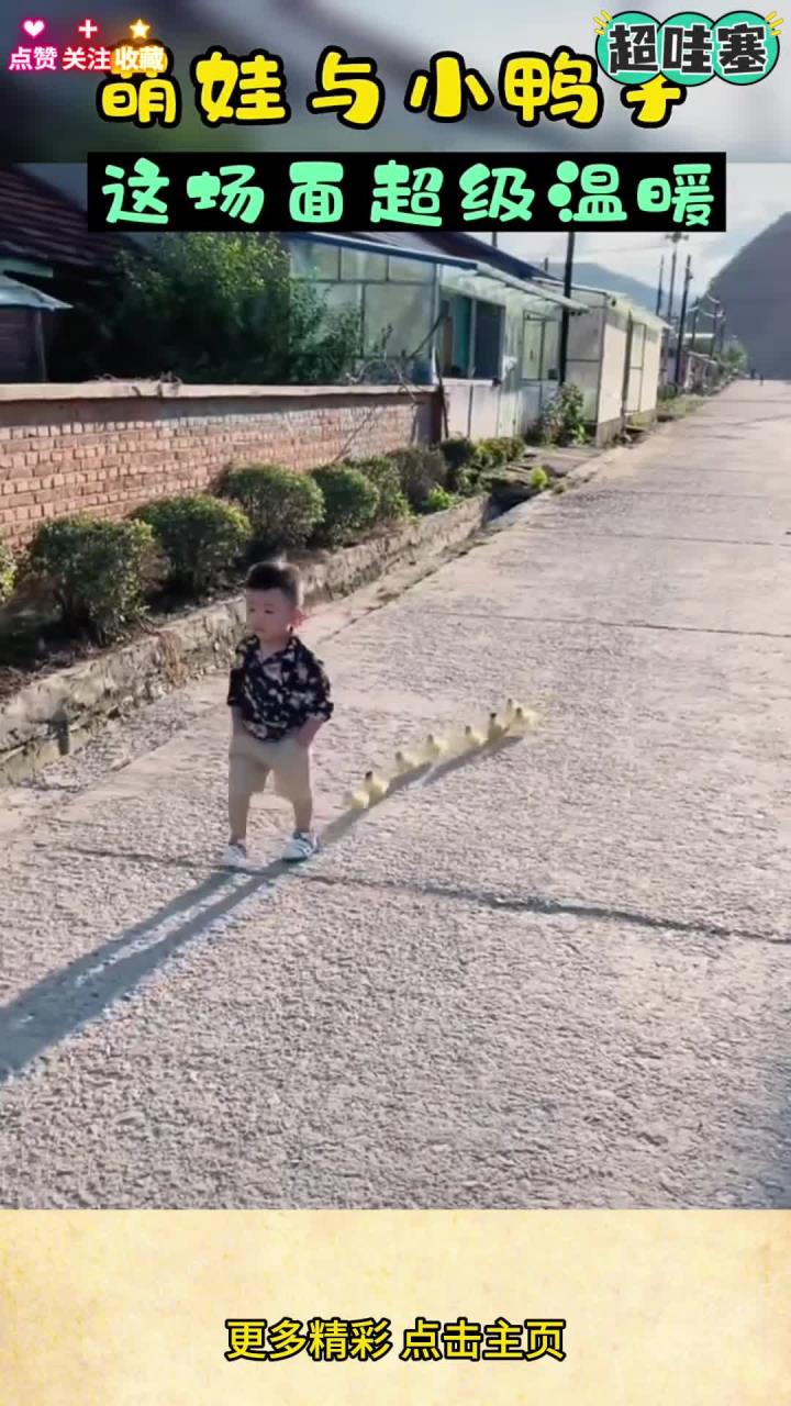 萌娃 与小鸭子,这场面超级