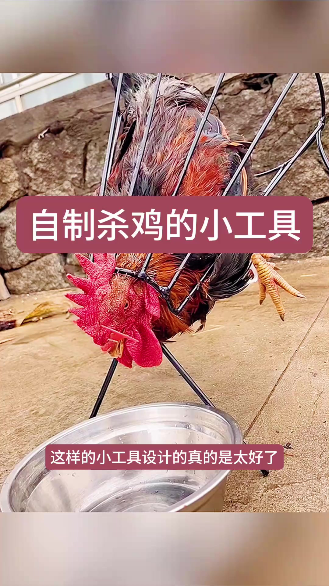 自制杀鸡的小工具,太实用了