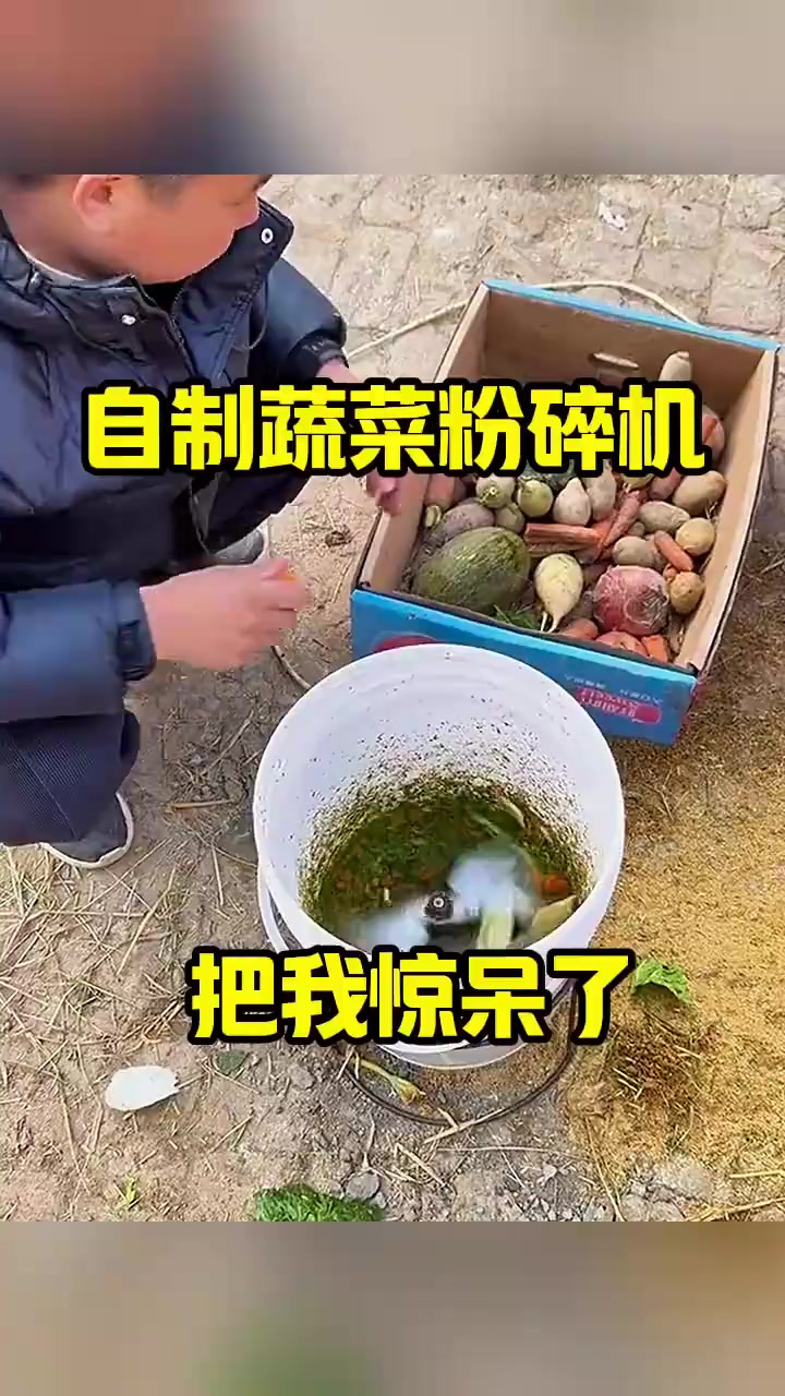 自制蔬菜粉碎机,把我惊呆了!