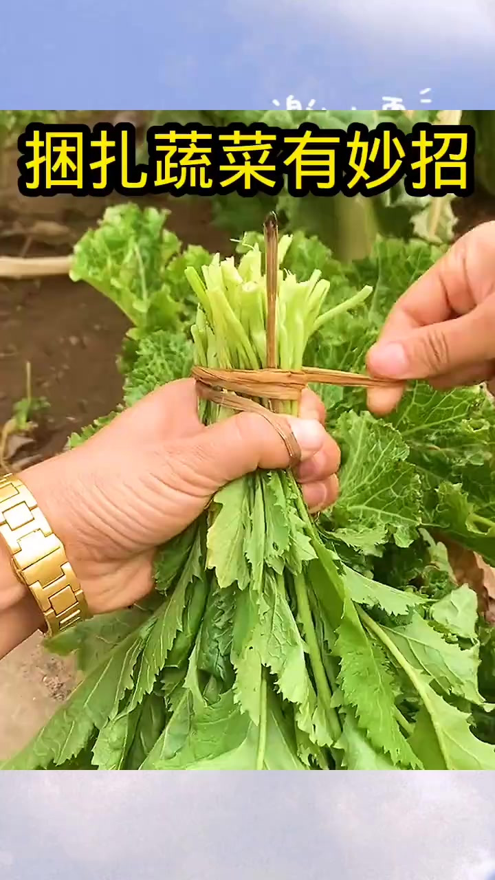 捆扎蔬菜有妙招,真是高手在民间!
