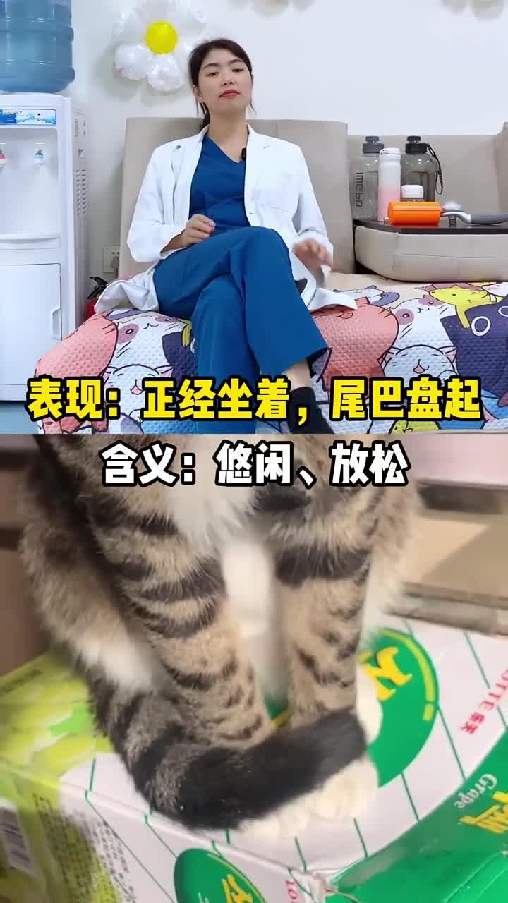 猫咪的尾巴真可以表达情绪？