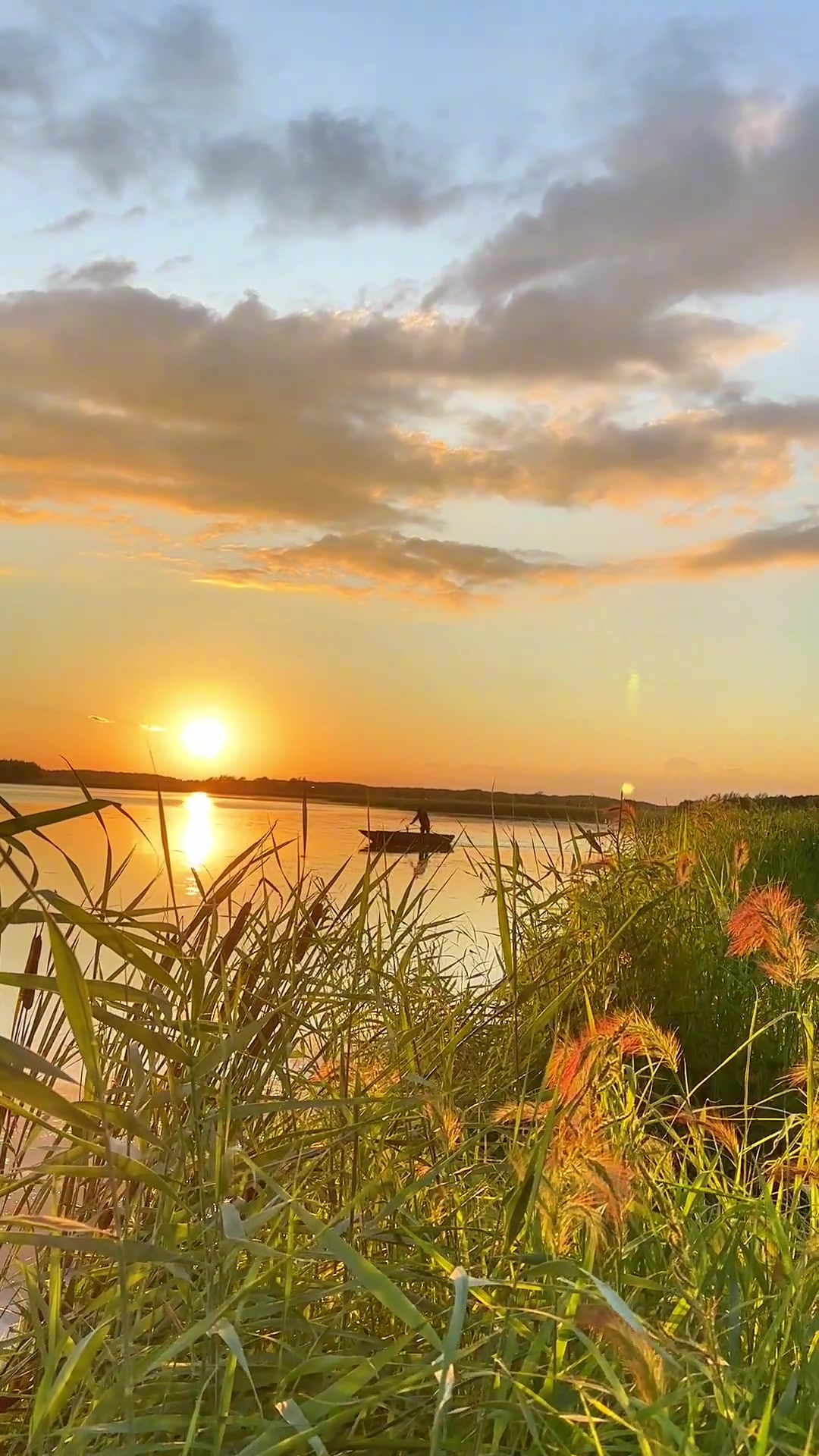 上河道整点鱼,做个杂鱼贴饼子,再炸点大虾片