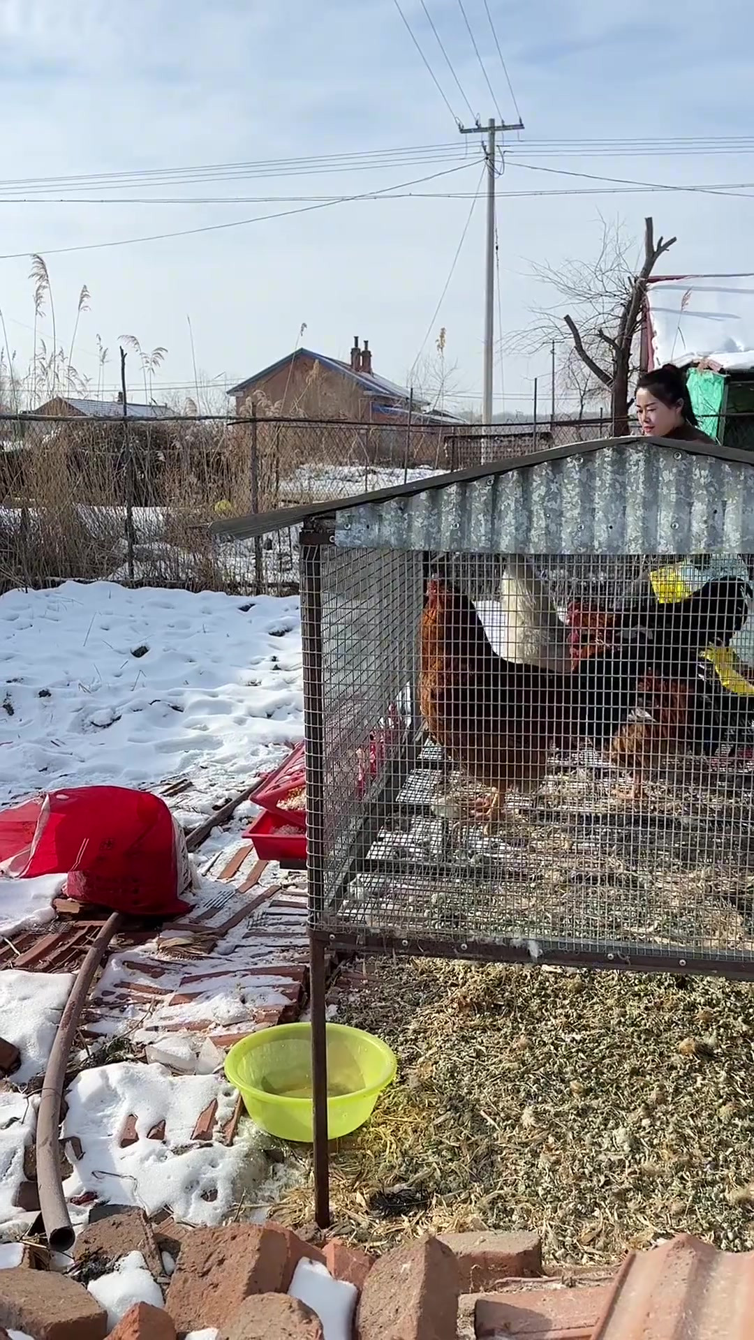 二十七宰公鸡二十八把面发三十晚上熬一宿，大年初一扭一扭过年啦