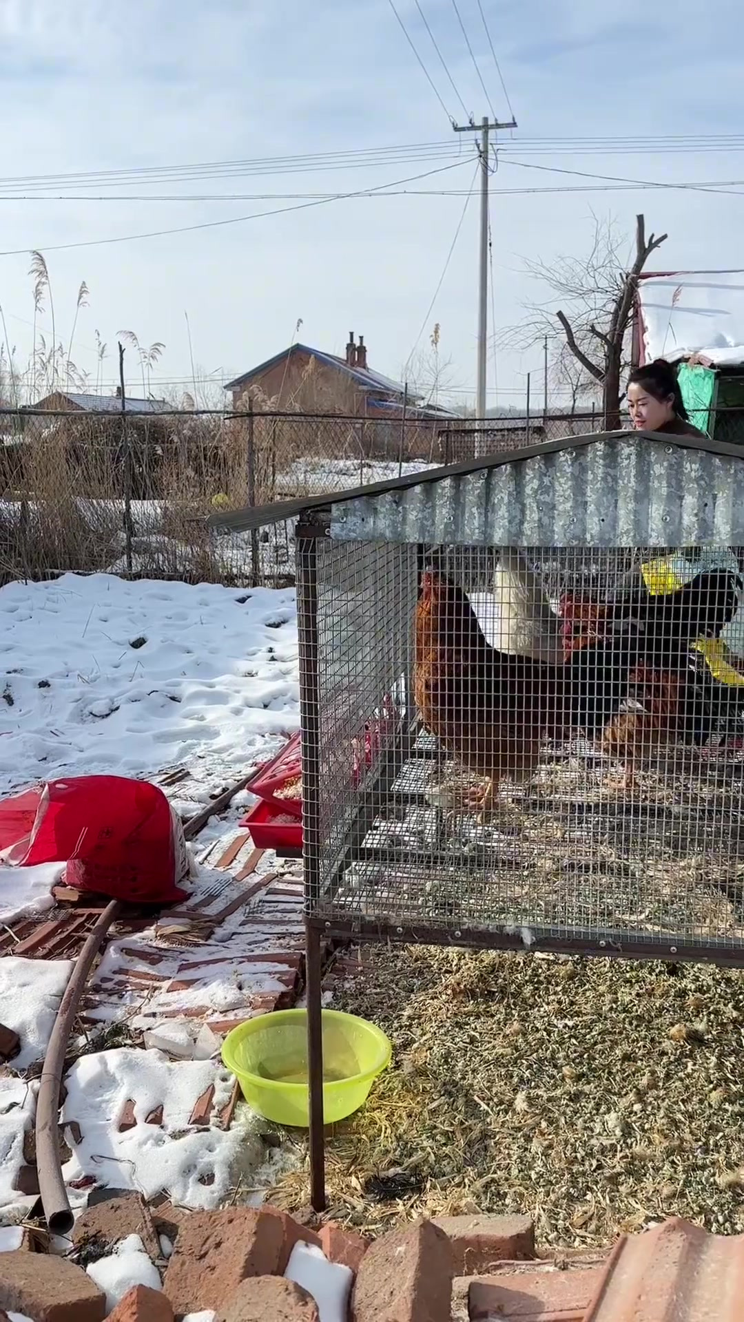 二十七宰公鸡二十八把面发三十晚上熬一宿，大年初一扭一扭过年啦