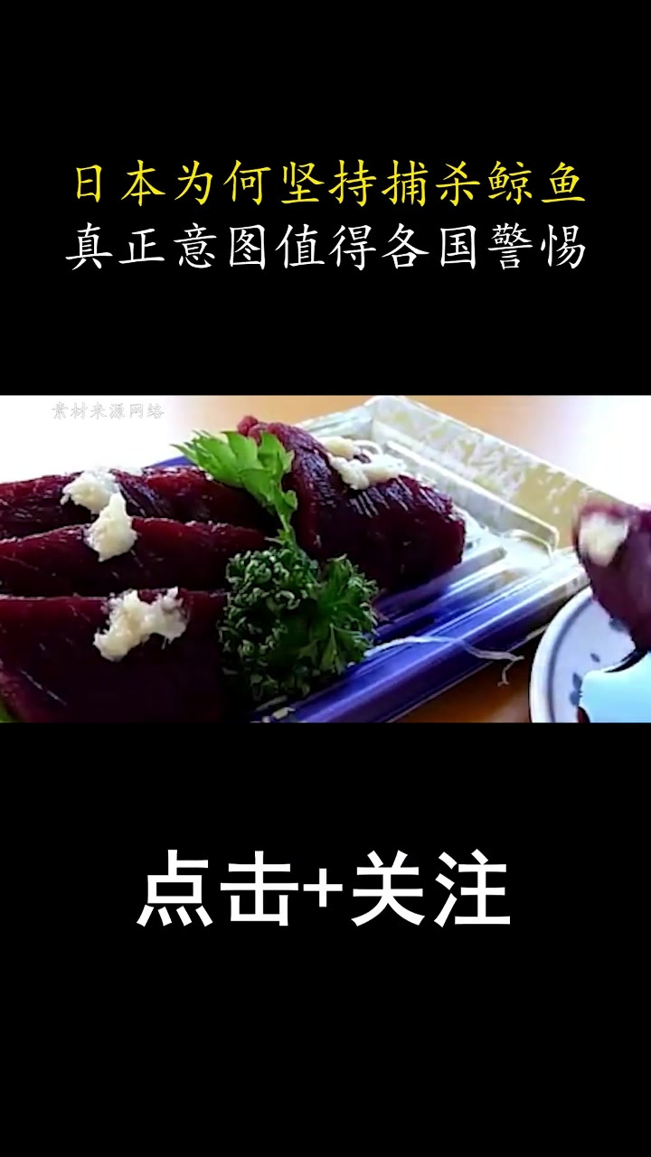 日本为何坚持捕杀鲸鱼?并非为了吃肉,真正意图值得世界各国警惕