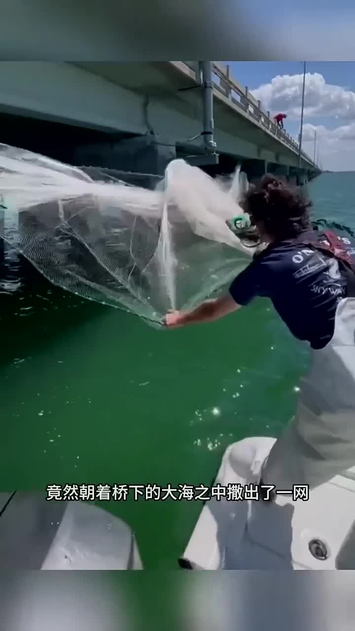 户外钓鱼:小伙朝着大桥下的桥墩中撒网捕鱼,结果渔获满满!