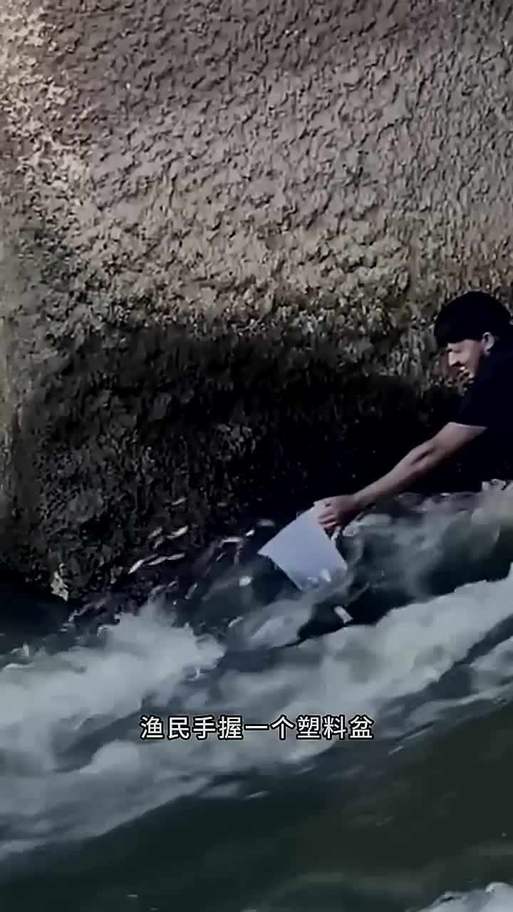 户外捕鱼:渔民用捕来的小鱼来到大海打窝