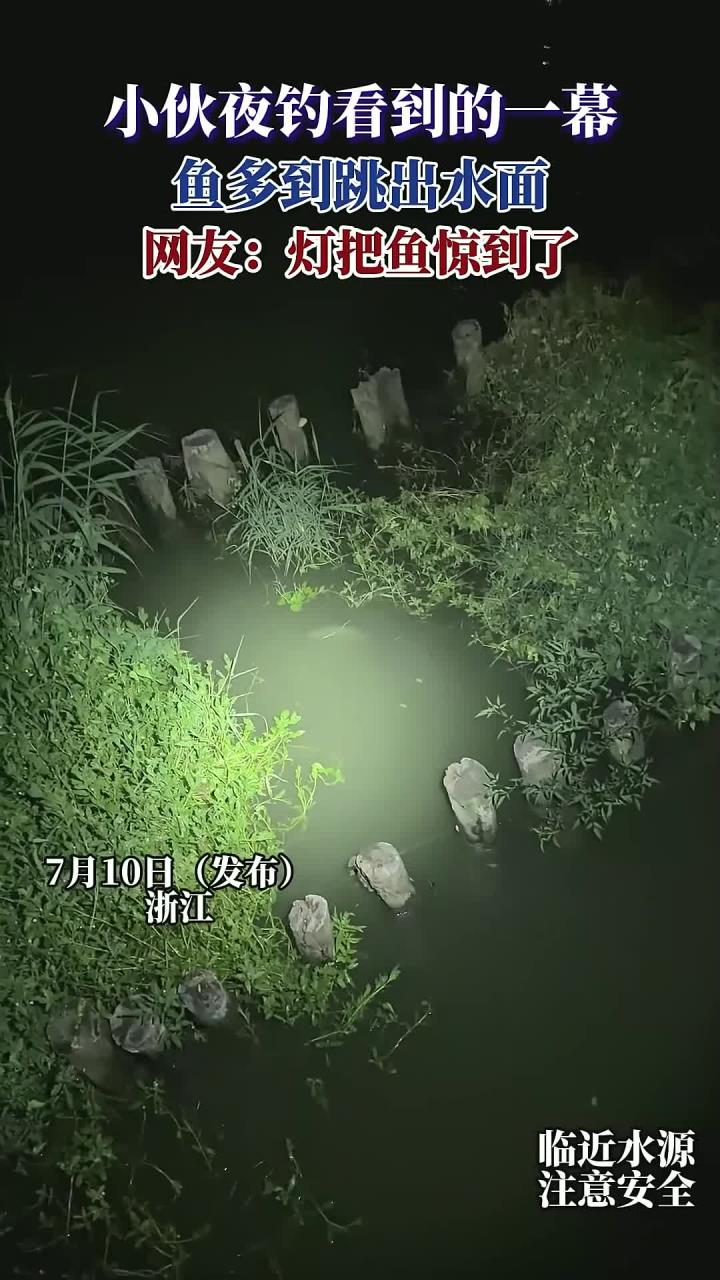 小伙夜钓看到的一幕，鱼多到跳出水面，网友：灯把鱼惊到了