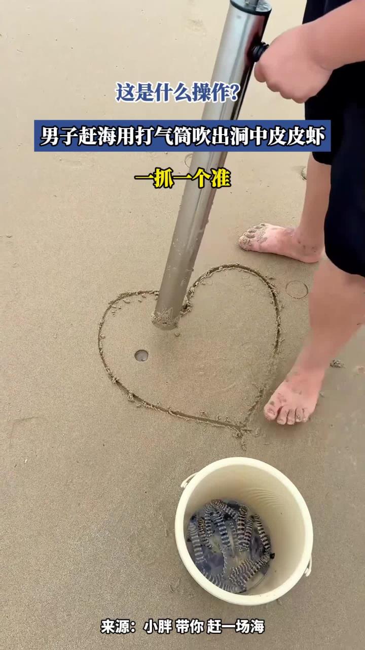 这是什么操作？男子赶海用打气筒吹出洞中皮皮虾，一抓一个准