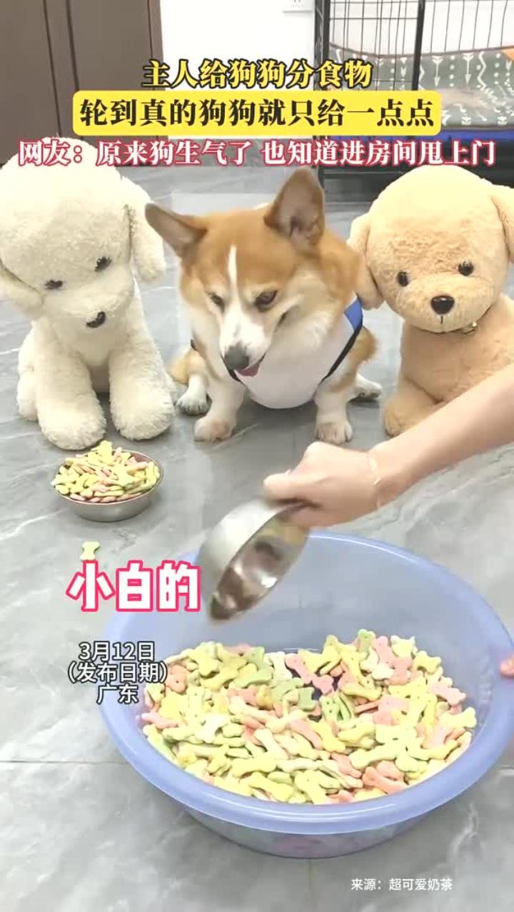 主人给狗狗分食物，轮到真的狗狗就只给一点点