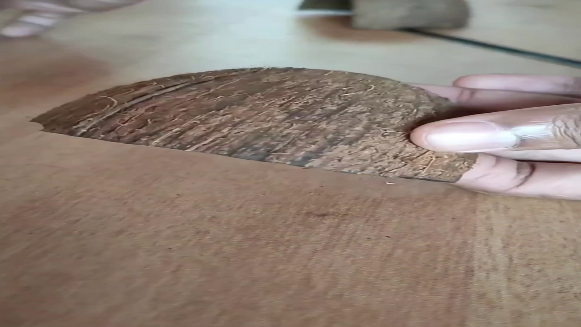 生活小发明今天做个护指神器,切菜也要保护好自己