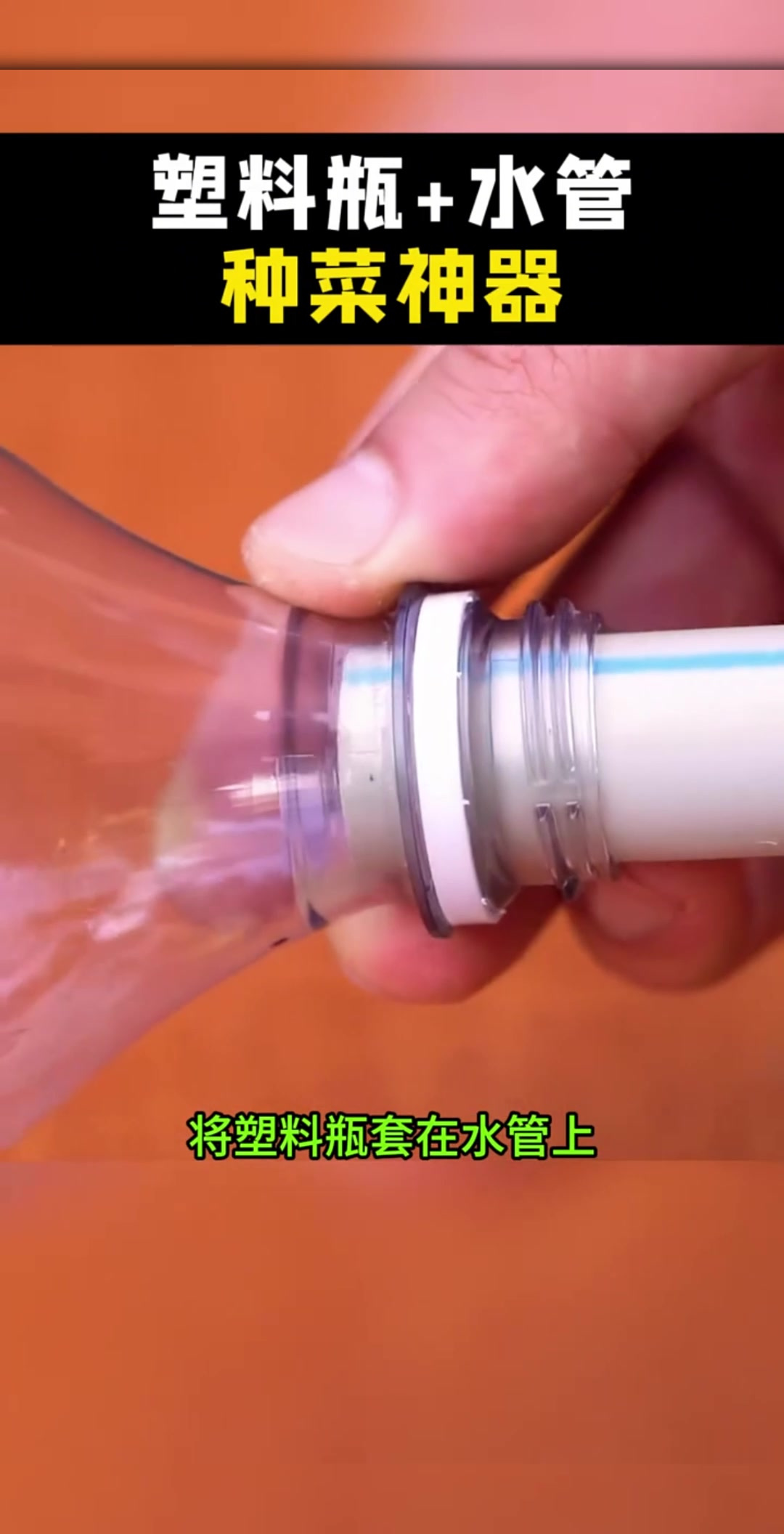 真是脑洞大开新发明,将水管塑料瓶制作成种菜神器,又快又方便还