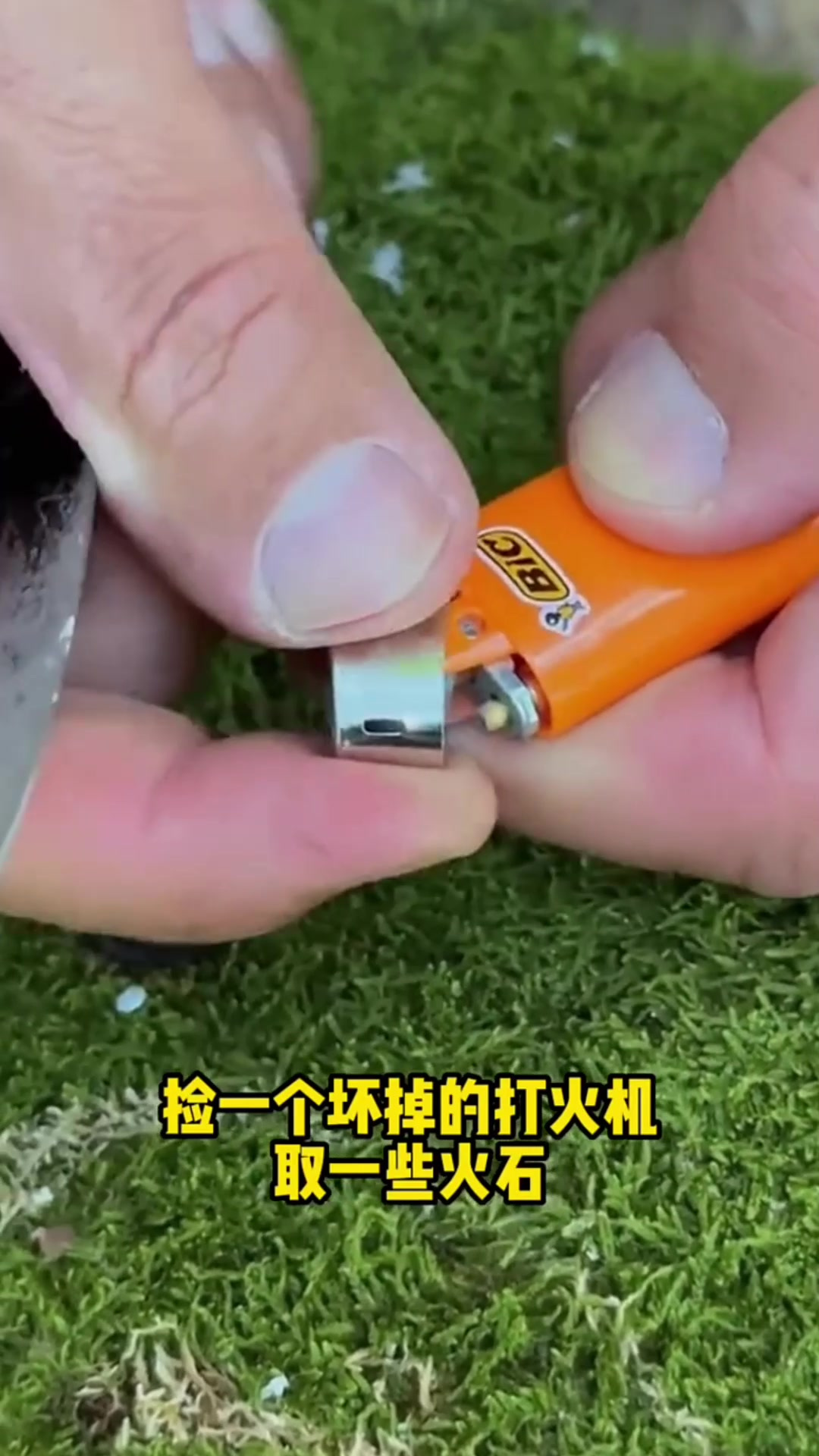 野外苔藓蒸鸡蛋创意手工野外生存手工DIY