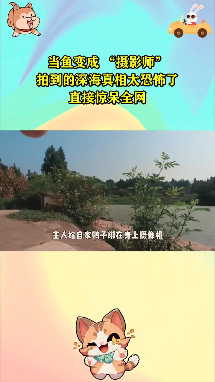 当鱼变成 “摄影师”，拍到的深海真相太恐怖了！直接惊呆全网！