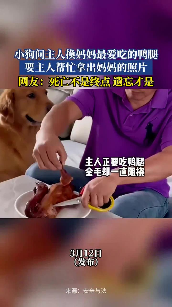 小狗问主人换妈妈最爱吃的鸭腿,要主人帮忙拿出妈妈的照片