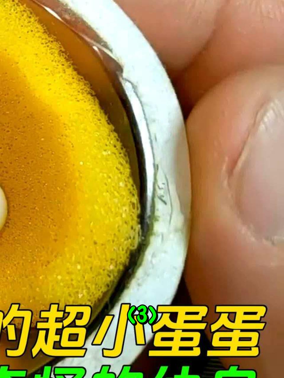 在野外发现一枚小鸟蛋,几天后孵化出奇怪的幼鸟,这是什么鸟呢