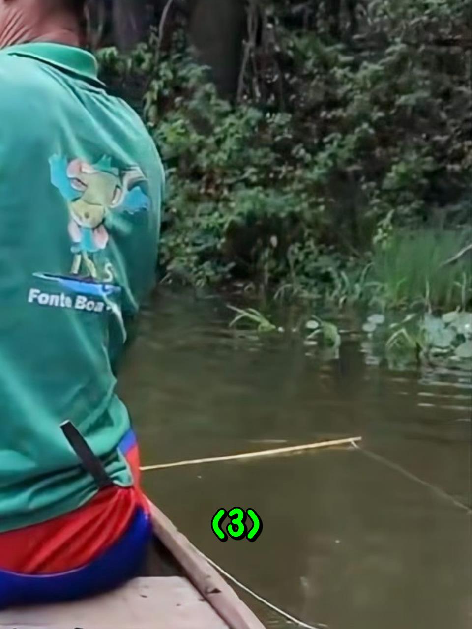 在神秘的亚马逊河流,渔民用最原始的方法捕捉珍贵的银龙鱼3
