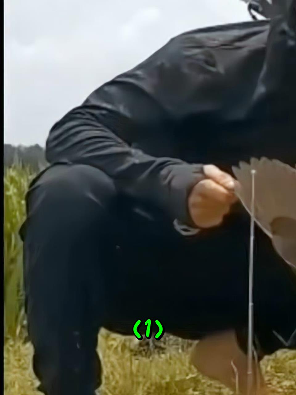 越南小伙在田埂边,利用声音引诱黑水鸡1