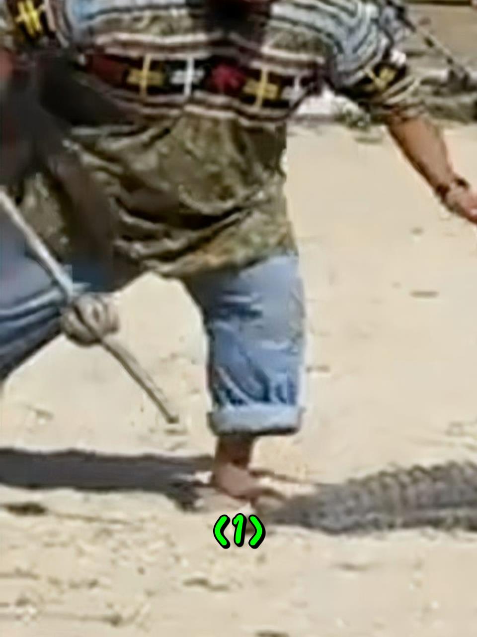 大型鳄鱼表演秀,差点把自己给带走了1