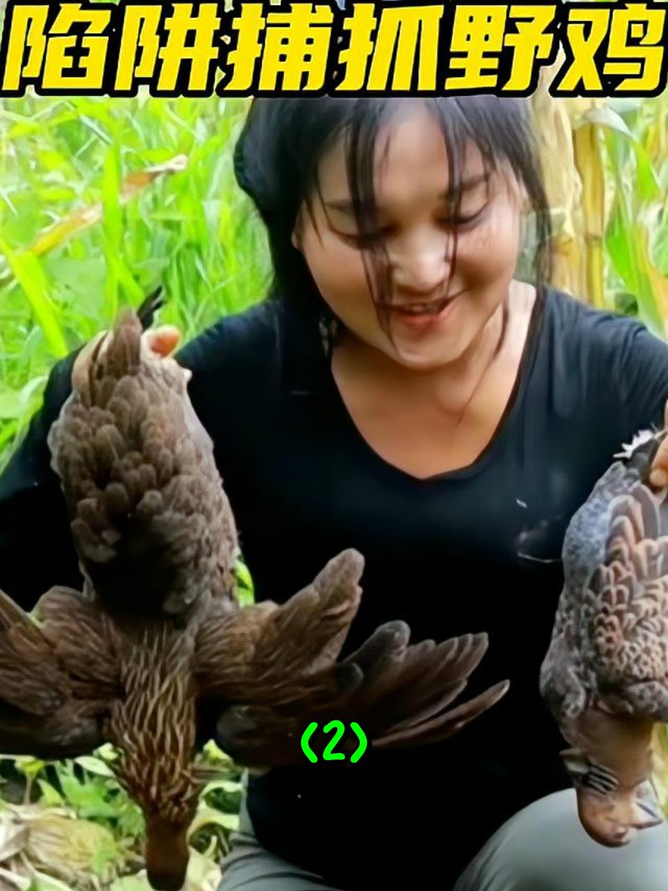 泰国美女制作陷阱,捕获野鸡和虎斑2