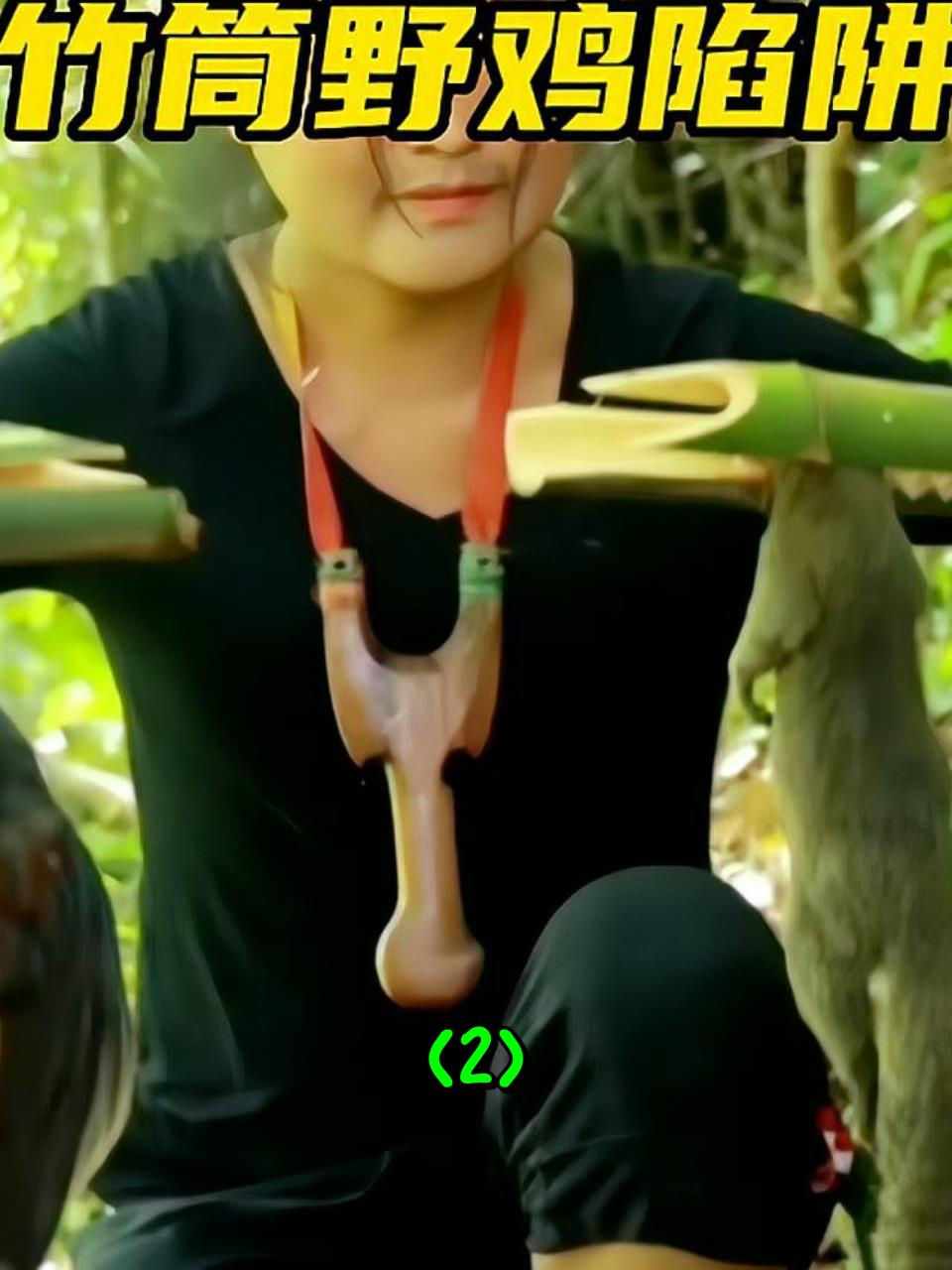 泰国美女仅用两根竹管,制作陷阱捕获野鸡2