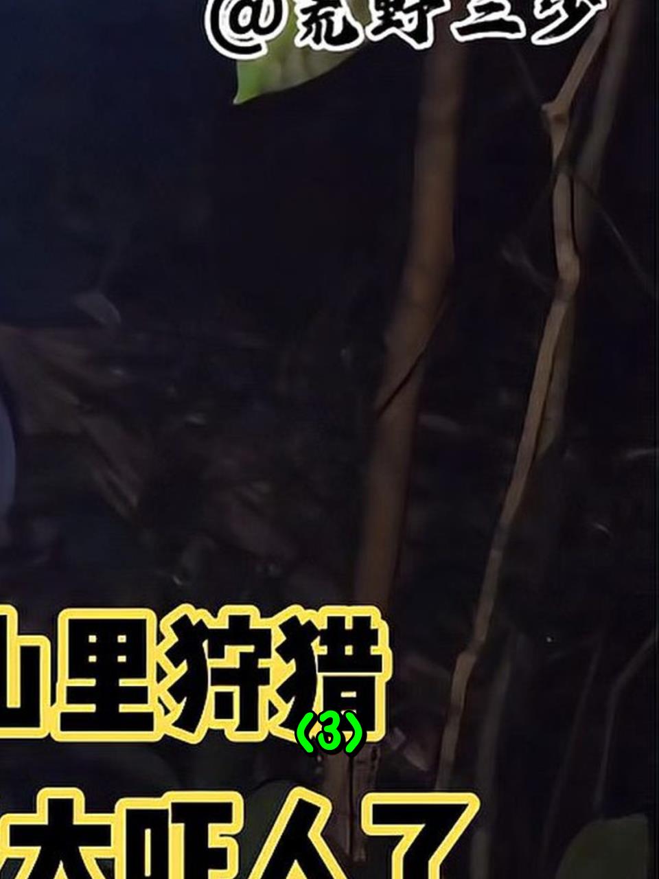 泰国美女夫妻,在深山里捕猎竹鸡,偶遇毒辣条太吓人了3