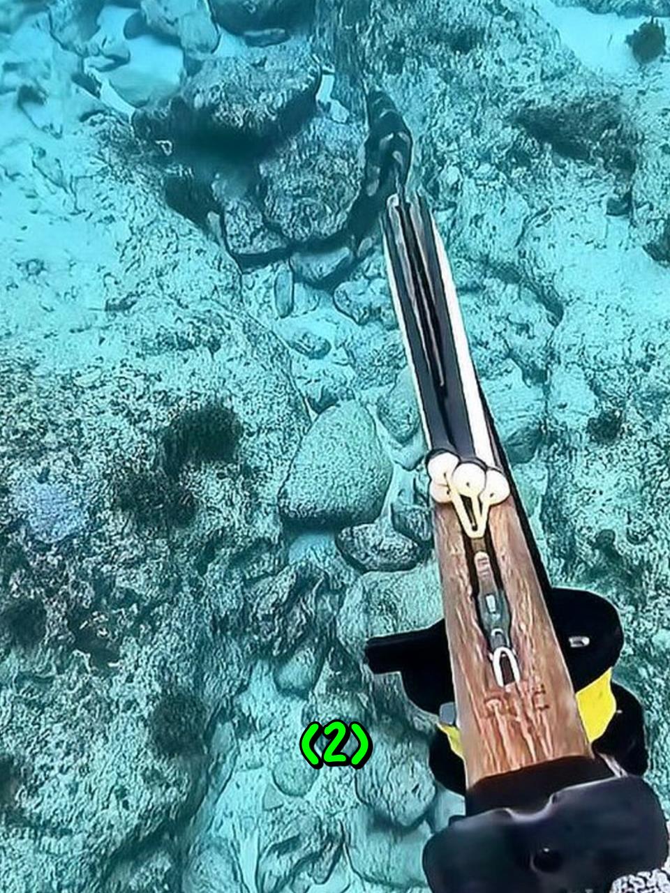 海底用鱼叉捕捉大鱼2