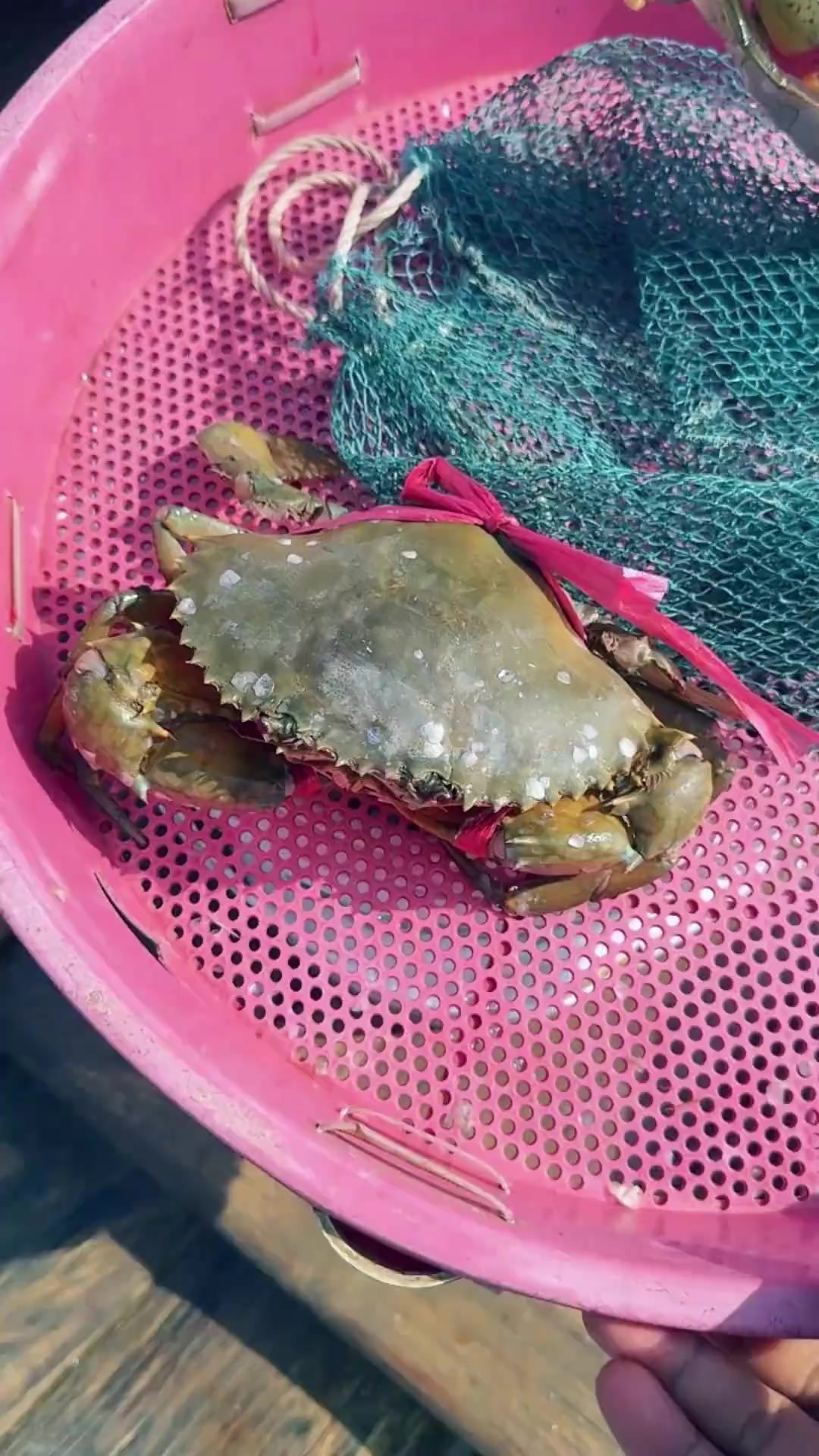 代贵州仁怀市的林老板出海捕鱼,野生黄花鱼膏蟹是真给力
