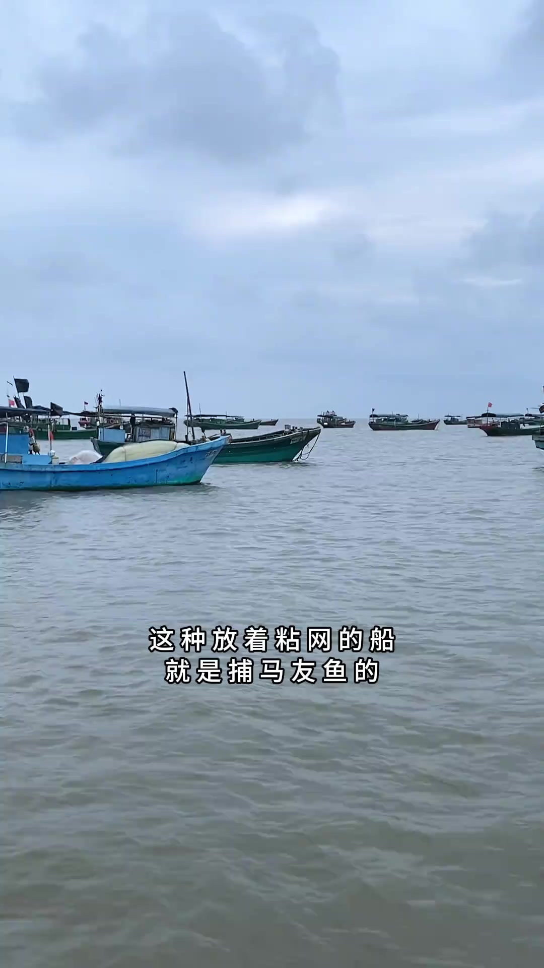 浙江老板500米包船捕鱼，你们觉得值吗？