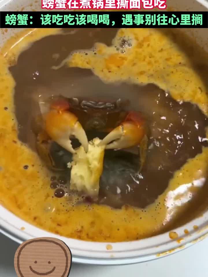 这就是传说中的面包蟹?视频为你揭秘!