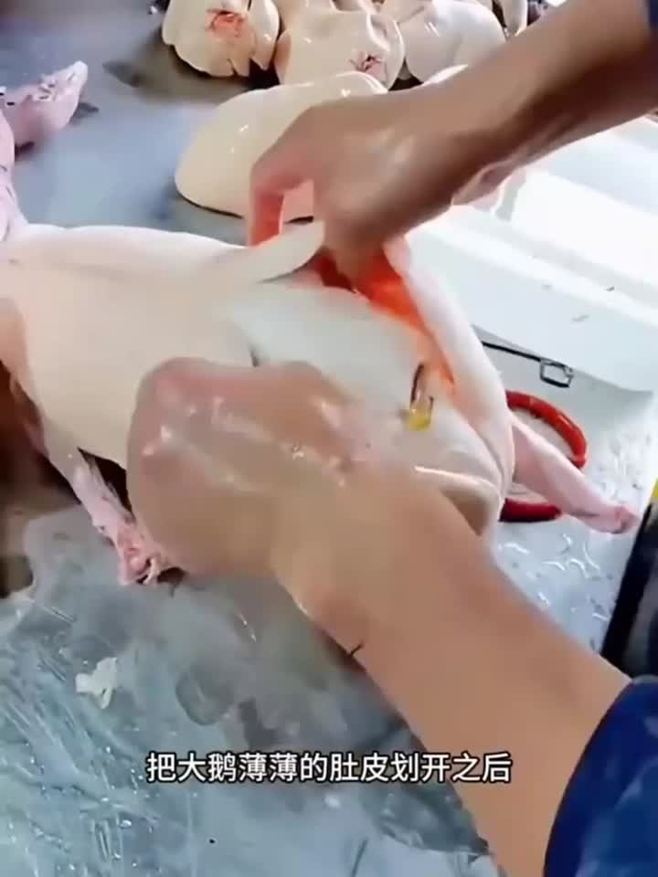 大鹅取鹅肝,鹅肝太大了