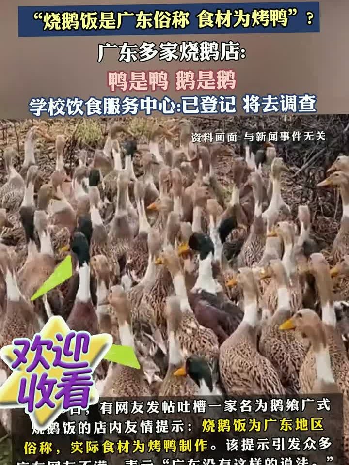 武汉一高校食堂称“烧鹅饭是广东俗称食材为烤鸭”?
