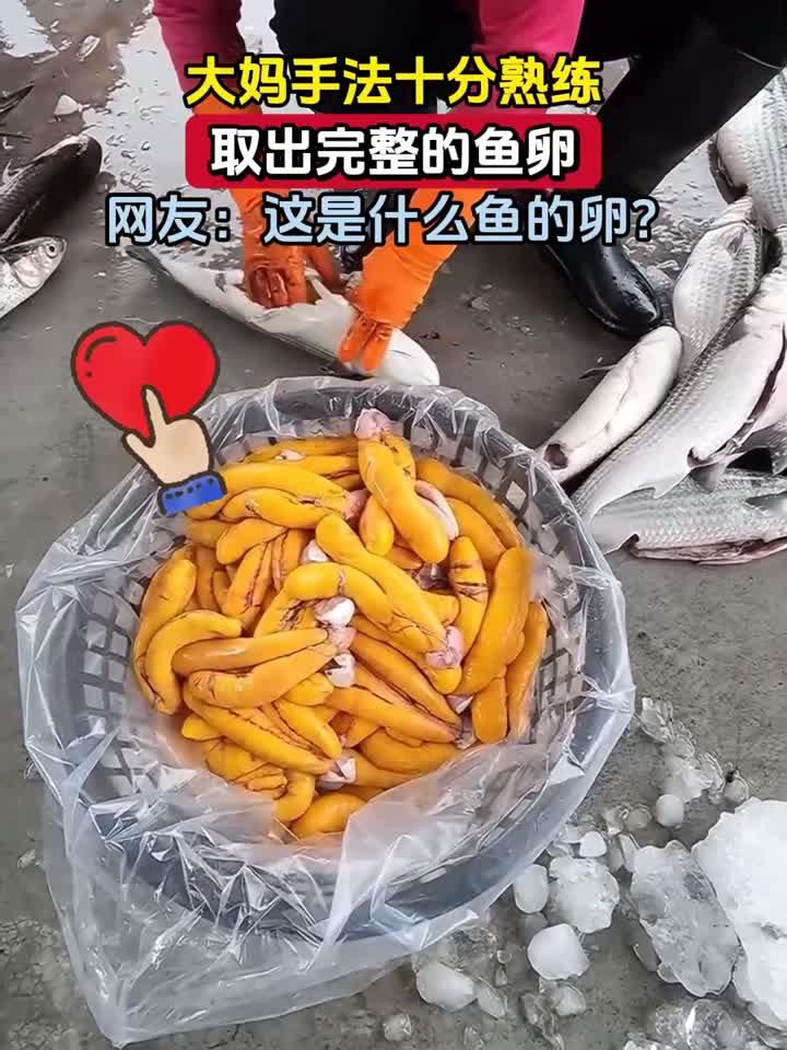 大妈手法十分熟练，取出完整的鱼卵，网友：这是什么鱼的卵？