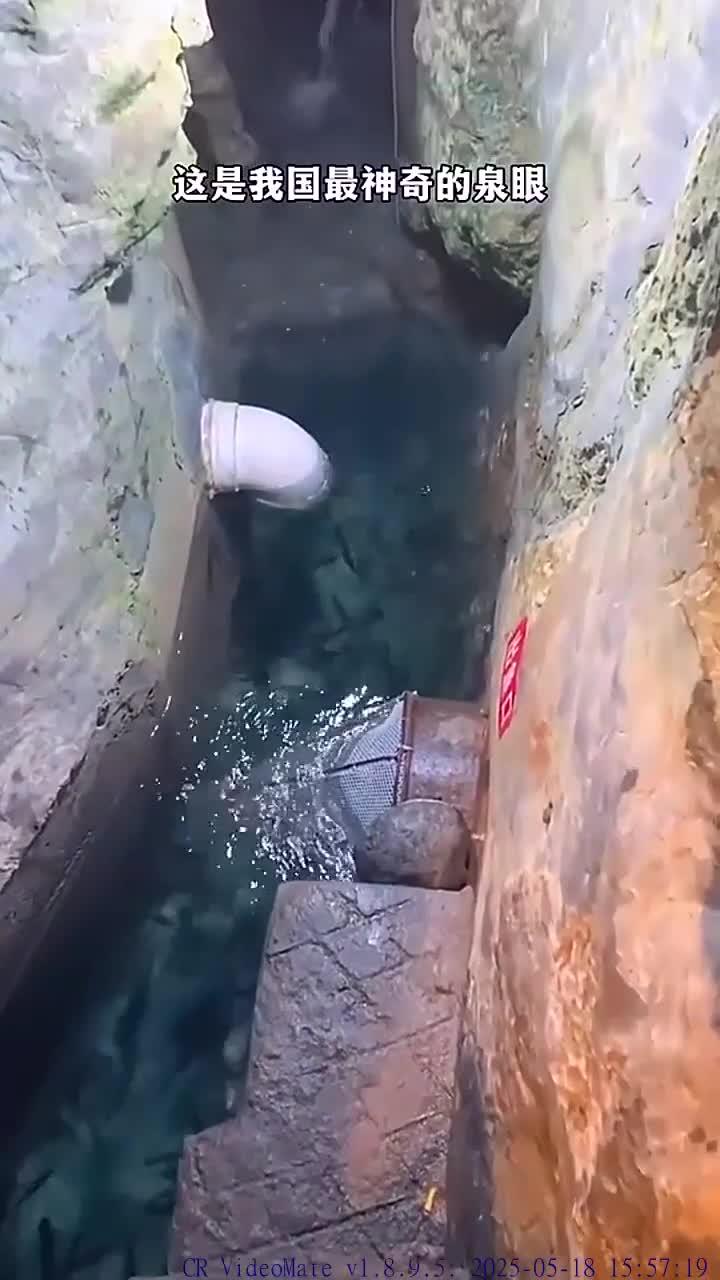 我国最神奇的泉眼!神奇鱼泉 旅游风光推荐